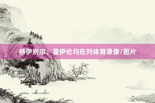 赫伊别尔、霍伊伦均在列体育录像/图片