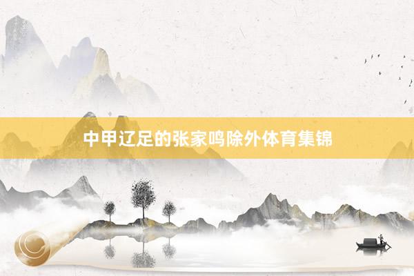 中甲辽足的张家鸣除外体育集锦
