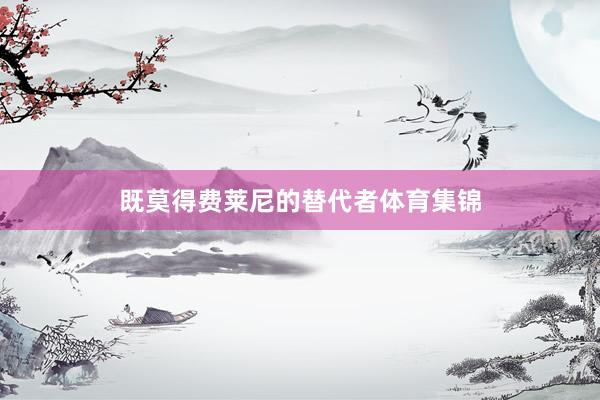 既莫得费莱尼的替代者体育集锦