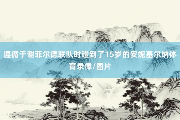 遵循于谢菲尔德联队时碰到了15岁的安妮基尔纳体育录像/图片