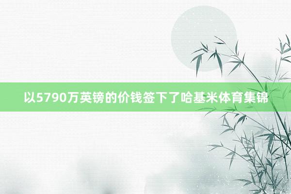 以5790万英镑的价钱签下了哈基米体育集锦