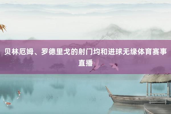 贝林厄姆、罗德里戈的射门均和进球无缘体育赛事直播