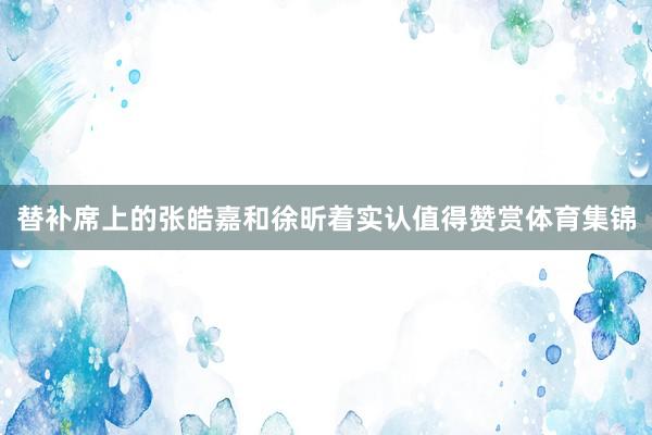 替补席上的张皓嘉和徐昕着实认值得赞赏体育集锦