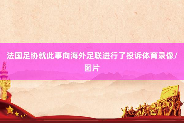 法国足协就此事向海外足联进行了投诉体育录像/图片