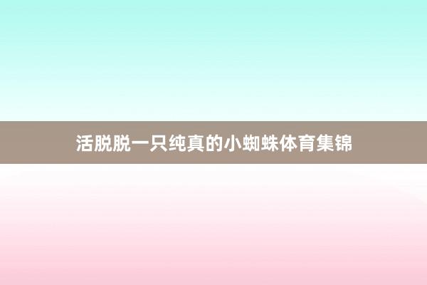 活脱脱一只纯真的小蜘蛛体育集锦