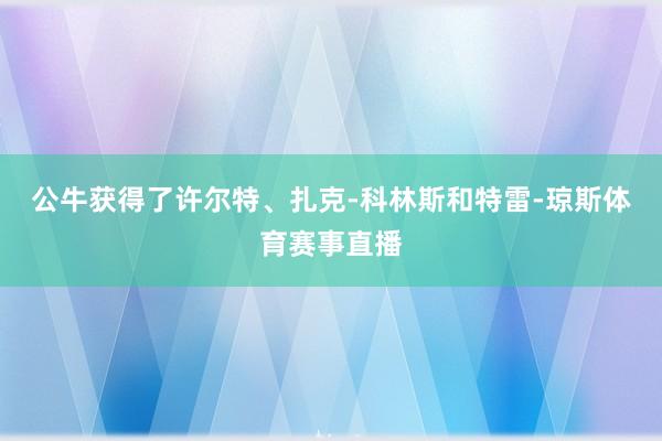 公牛获得了许尔特、扎克-科林斯和特雷-琼斯体育赛事直播