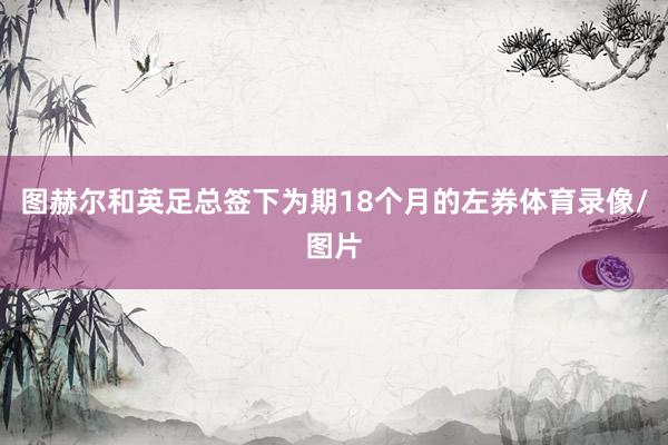图赫尔和英足总签下为期18个月的左券体育录像/图片