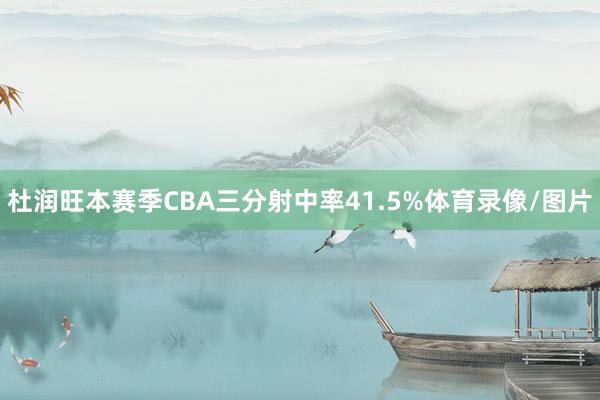杜润旺本赛季CBA三分射中率41.5%体育录像/图片