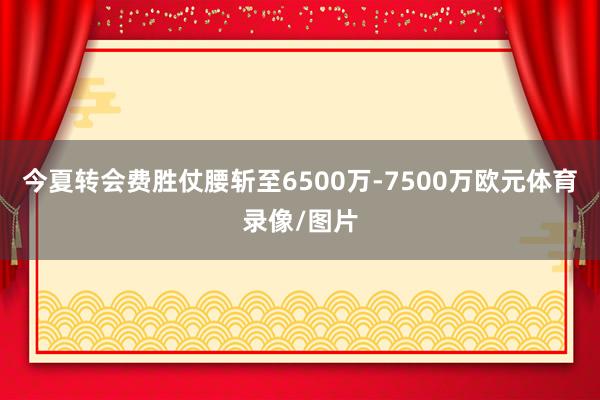 今夏转会费胜仗腰斩至6500万-7500万欧元体育录像/图片