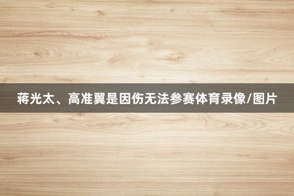 蒋光太、高准翼是因伤无法参赛体育录像/图片
