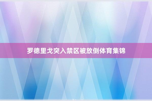 罗德里戈突入禁区被放倒体育集锦