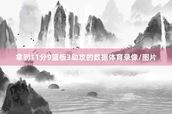 拿到11分9篮板3助攻的数据体育录像/图片