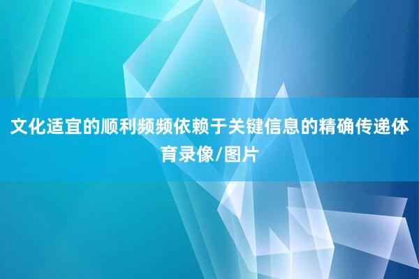 文化适宜的顺利频频依赖于关键信息的精确传递体育录像/图片