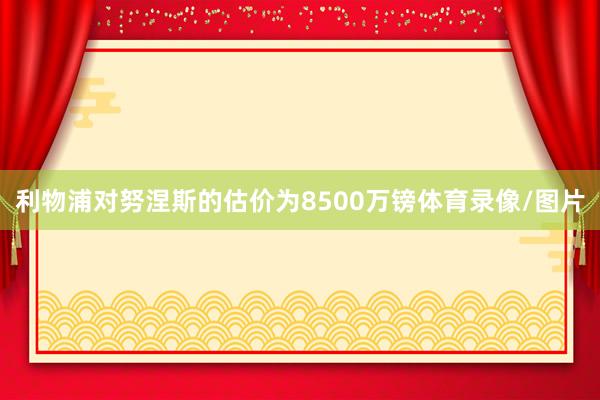 利物浦对努涅斯的估价为8500万镑体育录像/图片