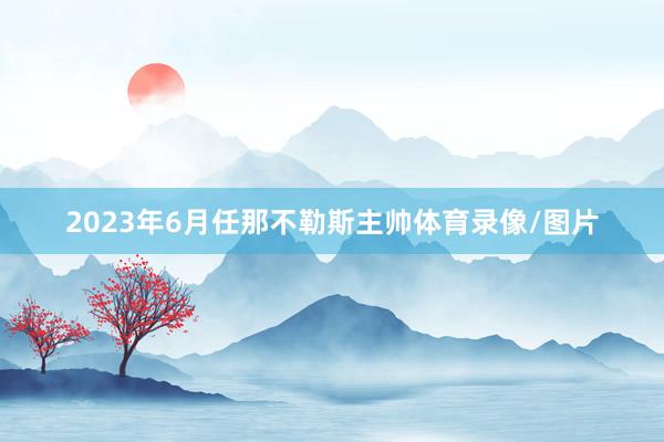 2023年6月任那不勒斯主帅体育录像/图片