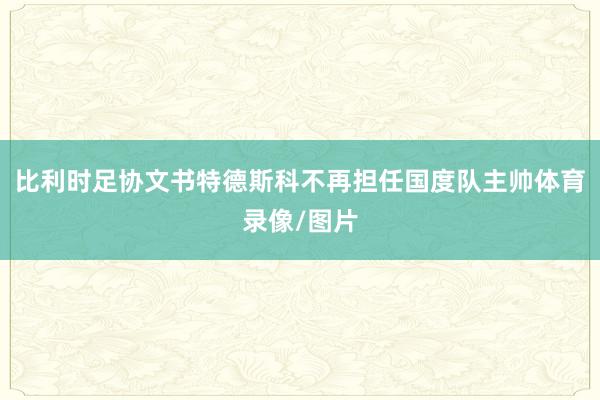 比利时足协文书特德斯科不再担任国度队主帅体育录像/图片
