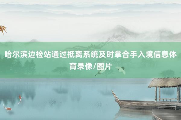 哈尔滨边检站通过抵离系统及时掌合手入境信息体育录像/图片