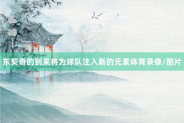 东契奇的到来将为球队注入新的元素体育录像/图片