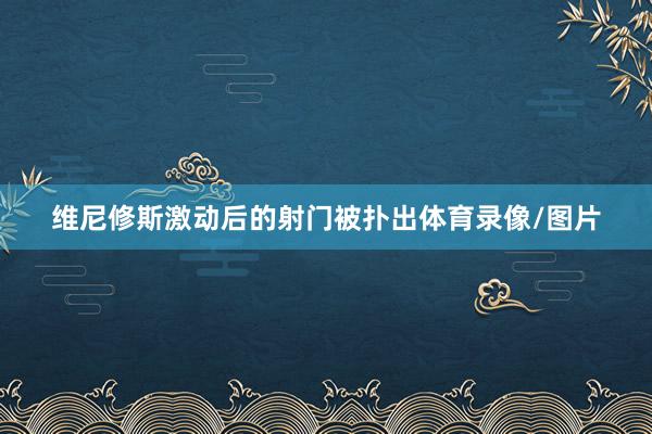 维尼修斯激动后的射门被扑出体育录像/图片