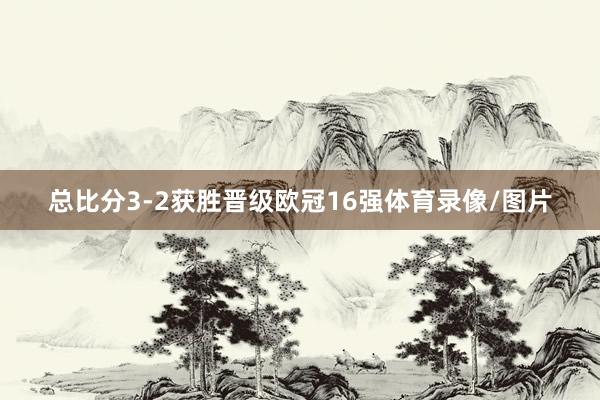 总比分3-2获胜晋级欧冠16强体育录像/图片