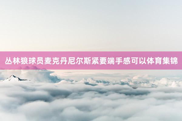 丛林狼球员麦克丹尼尔斯紧要端手感可以体育集锦