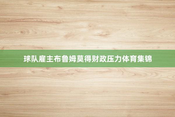 球队雇主布鲁姆莫得财政压力体育集锦