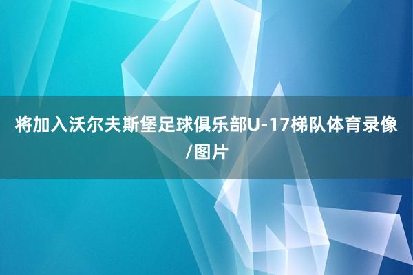 将加入沃尔夫斯堡足球俱乐部U-17梯队体育录像/图片