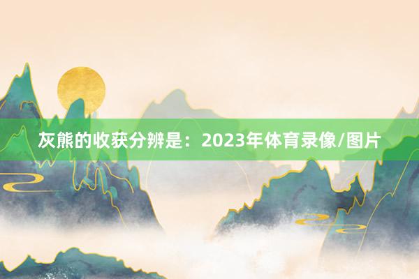 灰熊的收获分辨是：2023年体育录像/图片
