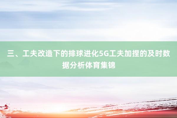 三、工夫改造下的排球进化5G工夫加捏的及时数据分析体育集锦