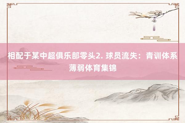 相配于某中超俱乐部零头2. 球员流失：青训体系薄弱体育集锦