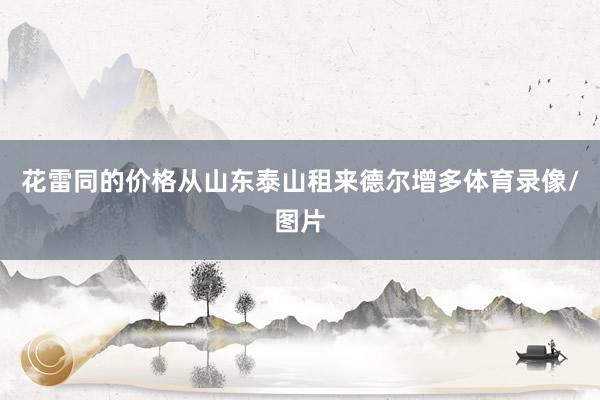 花雷同的价格从山东泰山租来德尔增多体育录像/图片