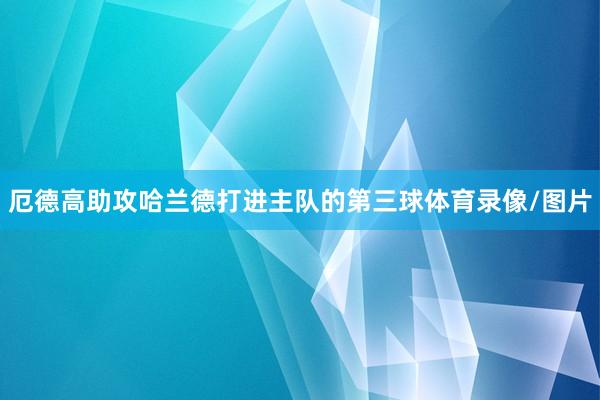 厄德高助攻哈兰德打进主队的第三球体育录像/图片