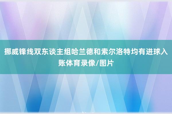 挪威锋线双东谈主组哈兰德和索尔洛特均有进球入账体育录像/图片
