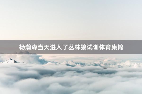 杨瀚森当天进入了丛林狼试训体育集锦
