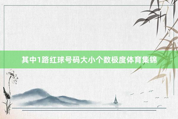 其中1路红球号码大小个数极度体育集锦
