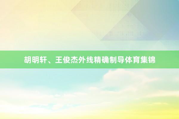 胡明轩、王俊杰外线精确制导体育集锦