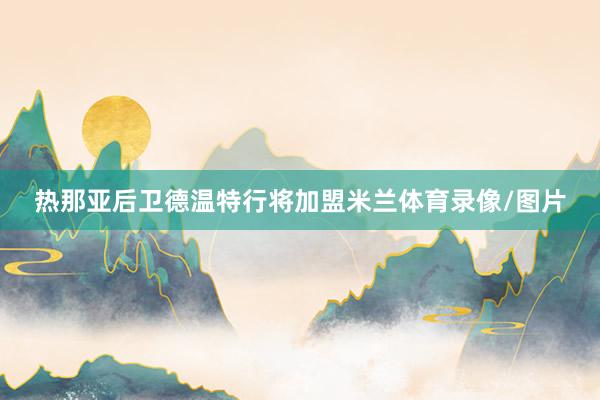 热那亚后卫德温特行将加盟米兰体育录像/图片
